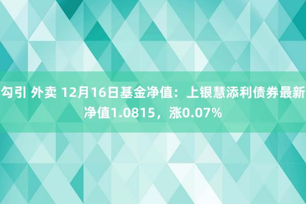 勾引 外卖 12月16日基金净值：上银慧添利债券最新净值1.0815，涨0.07%