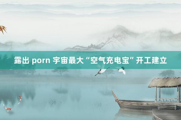 露出 porn 宇宙最大“空气充电宝”开工建立