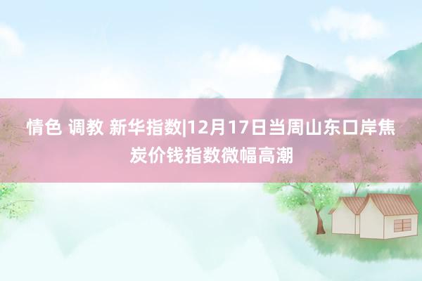 情色 调教 新华指数|12月17日当周山东口岸焦炭价钱指数微幅高潮