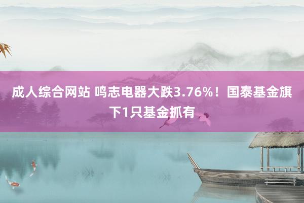 成人综合网站 鸣志电器大跌3.76%！国泰基金旗下1只基金抓有