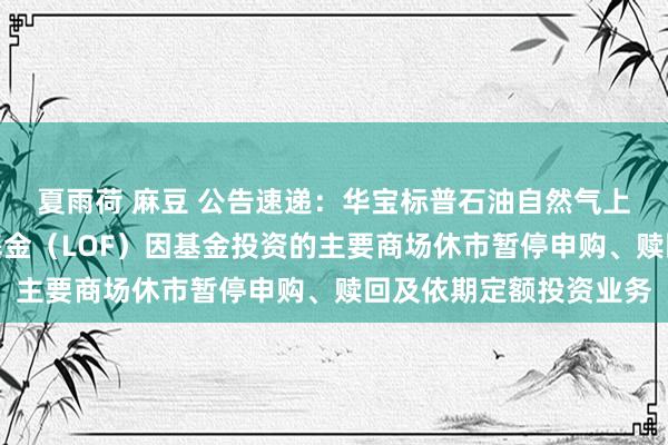 夏雨荷 麻豆 公告速递：华宝标普石油自然气上游股票指数证券投资基金（LOF）因基金投资的主要商场休市暂停申购、赎回及依期定额投资业务