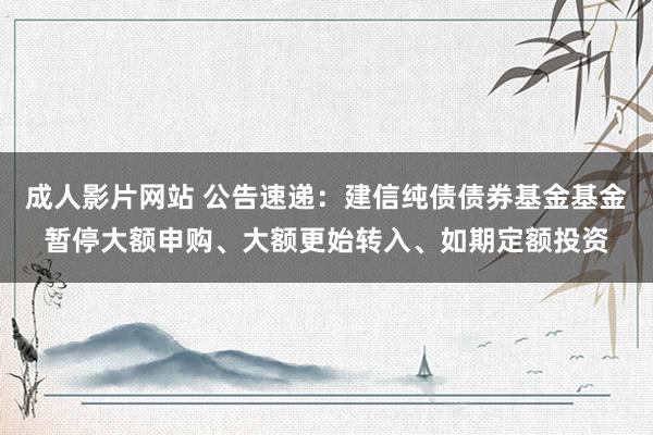 成人影片网站 公告速递：建信纯债债券基金基金暂停大额申购、大额更始转入、如期定额投资