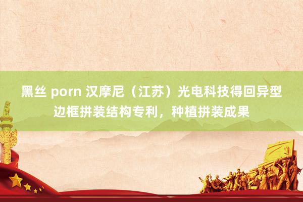 黑丝 porn 汉摩尼（江苏）光电科技得回异型边框拼装结构专利，种植拼装成果