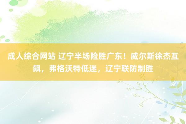 成人综合网站 辽宁半场险胜广东！威尔斯徐杰互飙，弗格沃特低迷，辽宁联防制胜