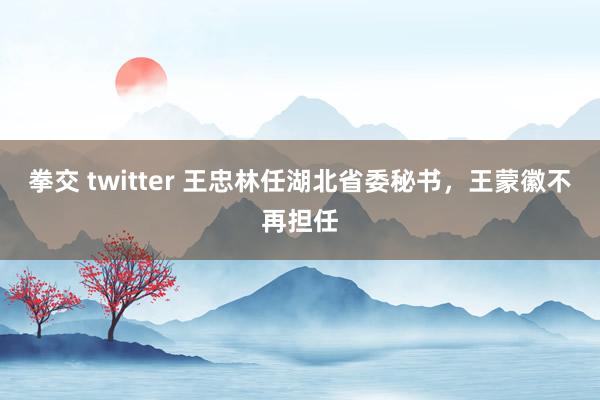 拳交 twitter 王忠林任湖北省委秘书，王蒙徽不再担任