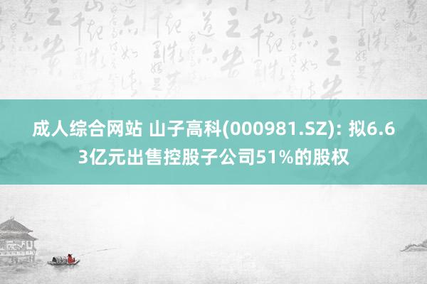 成人综合网站 山子高科(000981.SZ): 拟6.63亿元出售控股子公司51%的股权