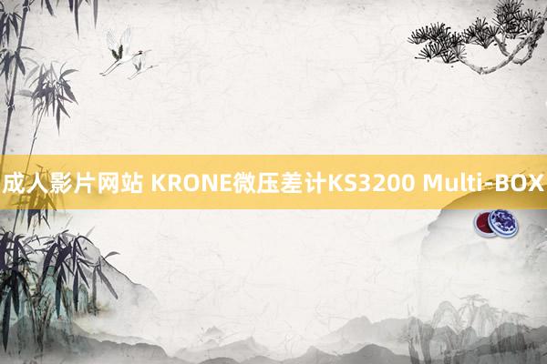 成人影片网站 KRONE微压差计KS3200 Multi-BOX