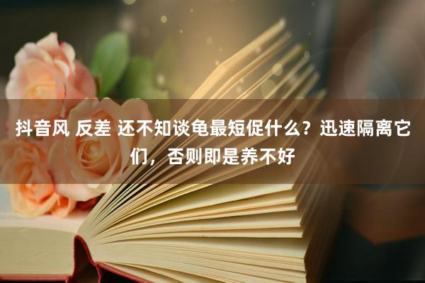 抖音风 反差 还不知谈龟最短促什么？迅速隔离它们，否则即是养不好