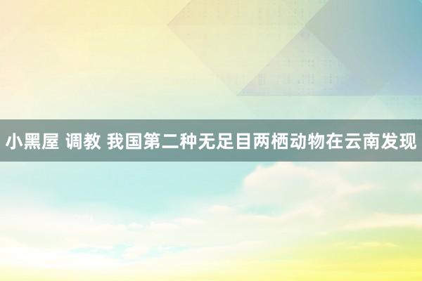 小黑屋 调教 我国第二种无足目两栖动物在云南发现