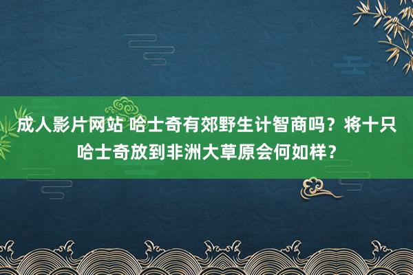 成人影片网站 哈士奇有郊野生计智商吗？将十只哈士奇放到非洲大草原会何如样？