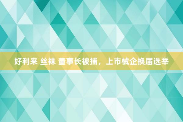 好利来 丝袜 董事长被捕，上市械企换届选举