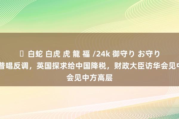 ✨白蛇 白虎 虎 龍 福 /24k 御守り お守り 与特朗普唱反调，英国探求给中国降税，财政大臣访华会见中方高层