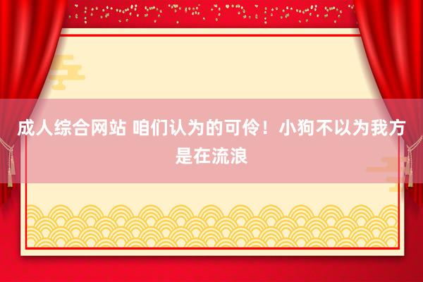 成人综合网站 咱们认为的可伶！小狗不以为我方是在流浪