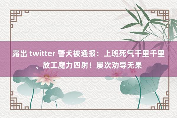 露出 twitter 警犬被通报：上班死气千里千里、放工魔力四射！屡次劝导无果