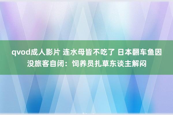 qvod成人影片 连水母皆不吃了 日本翻车鱼因没旅客自闭：饲养员扎草东谈主解闷