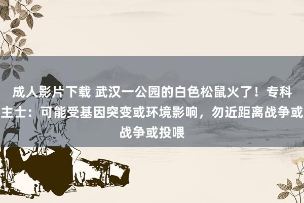 成人影片下载 武汉一公园的白色松鼠火了！专科东谈主士：可能受基因突变或环境影响，勿近距离战争或投喂