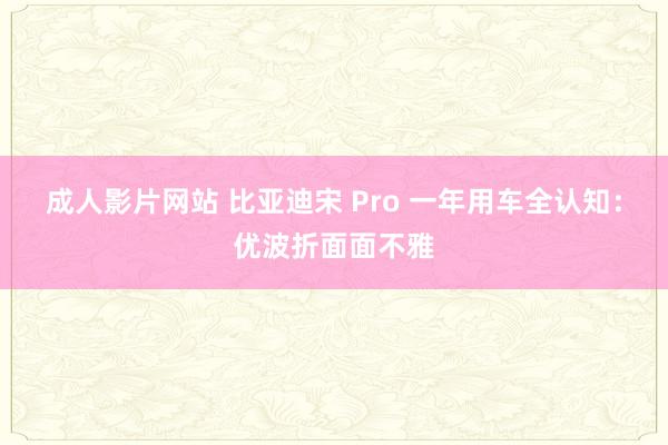 成人影片网站 比亚迪宋 Pro 一年用车全认知：优波折面面不雅