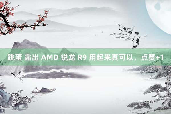 跳蛋 露出 AMD 锐龙 R9 用起来真可以，点赞+1